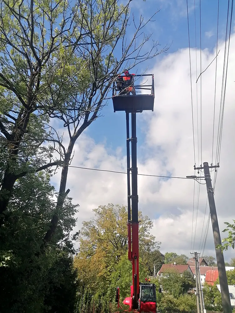Práce z&nbsp;pracovní plošiny v&nbsp;koruně stromu u&nbsp;elektrického vedení — KALAMEX, s.r.o.