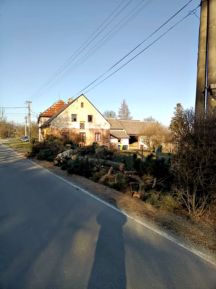 Pokácené dřeviny a&nbsp;větve složené podél silnice — KALAMEX, s.r.o.