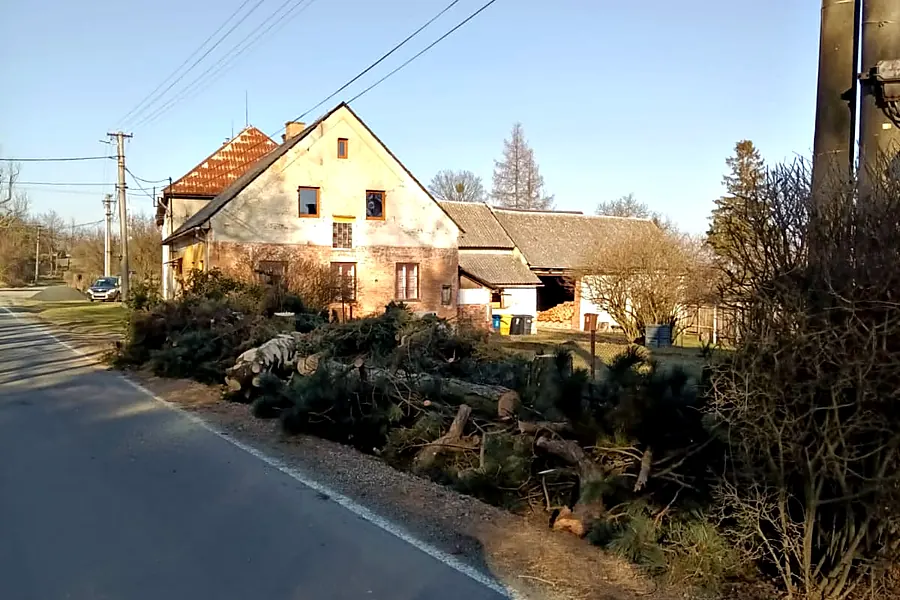 Pokácené dřeviny a&nbsp;větve složené podél silnice — KALAMEX, s.r.o.